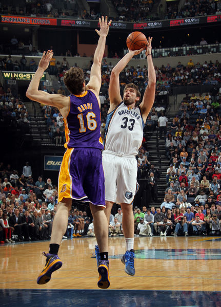 他的职业生 他的职业生